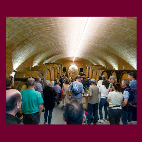 marolf_wein_erlach_festival_11