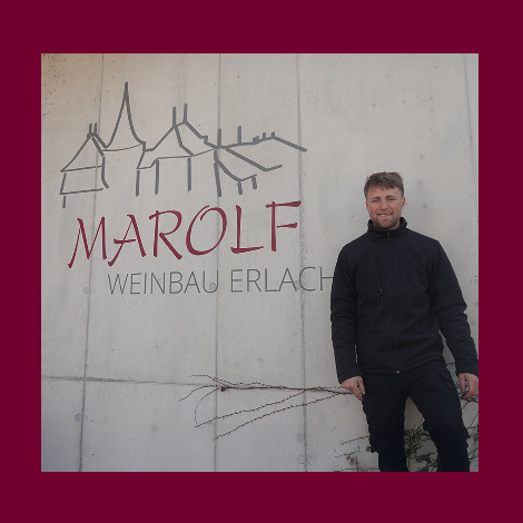 marolf_wein_merlin_berner