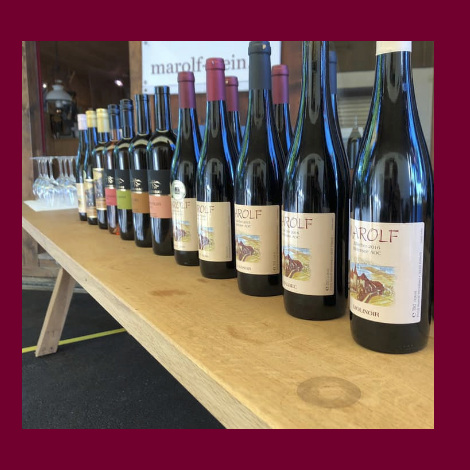 marolf_wein_offene_kellertuer_08