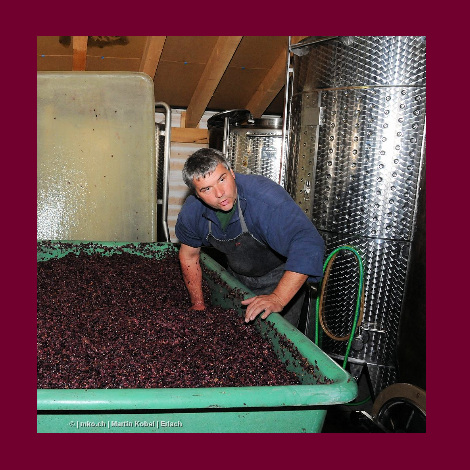 marolf_weinbau_UEBERUNS_INFRASTUKTUR_13