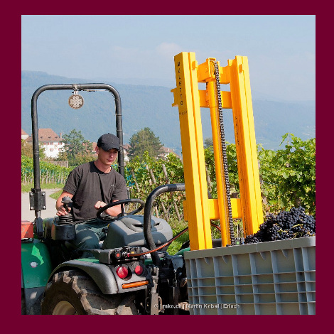 marolf_weinbau_UEBERUNS_INFRASTUKTUR_15