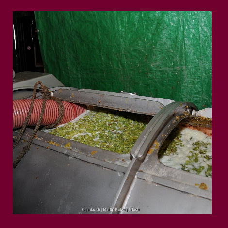 marolf_weinbau_UEBERUNS_INFRASTUKTUR_18