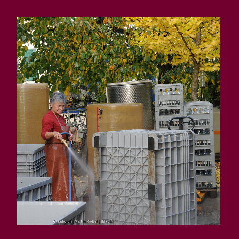 marolf_weinbau_UEBERUNS_INFRASTUKTUR_19