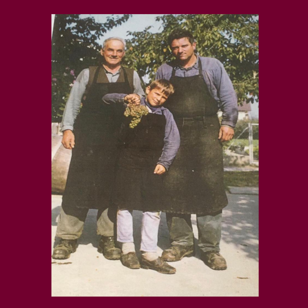 marolf_weinbau_geschichte_3_generationen