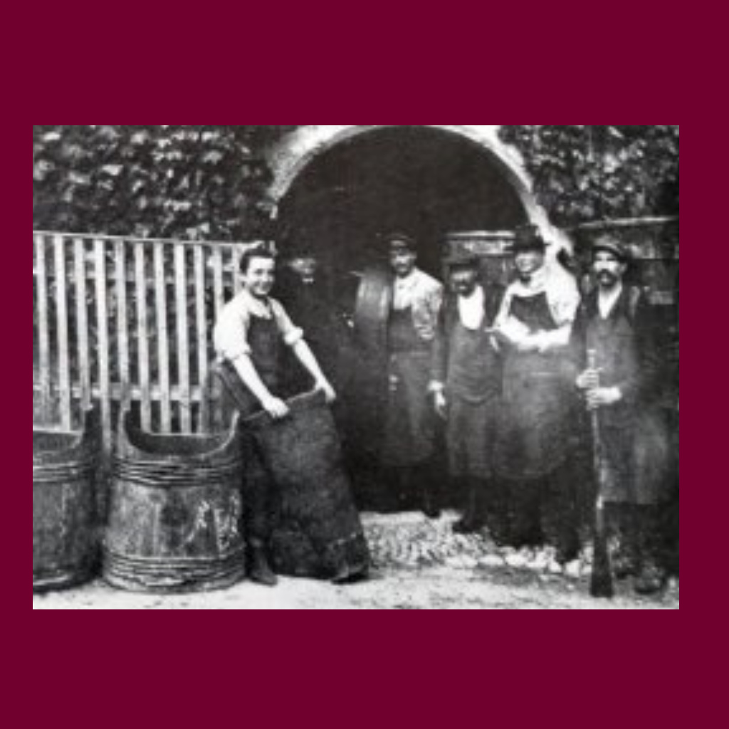 marolf_weinbau_geschichte_winzer