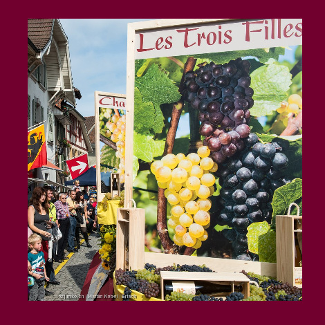 marolf_weinbau_laeset_sunntig_05