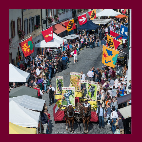 marolf_weinbau_laeset_sunntig_07